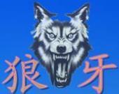 JJ公社--孤狼B组洛阳分队